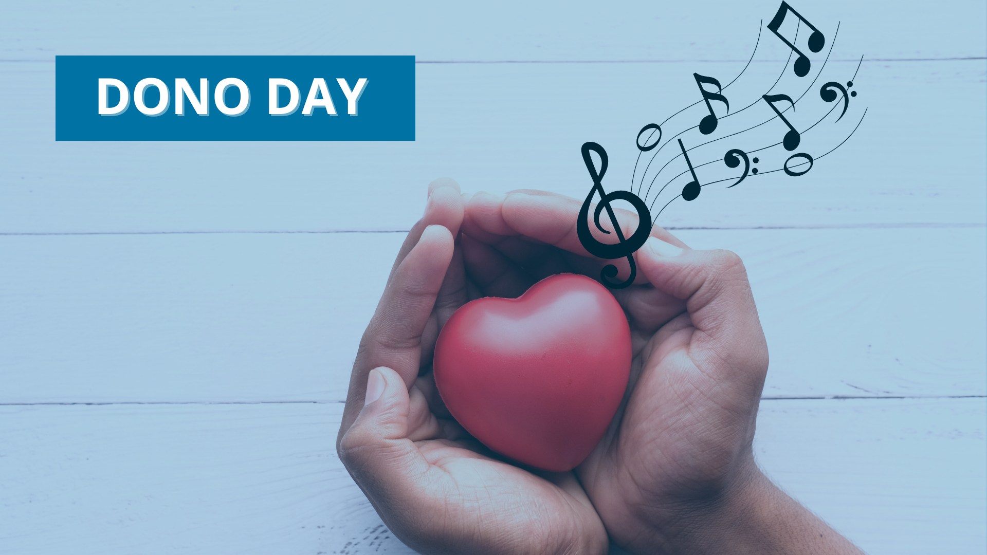 Dono Day_Associazione Amici della Musica di Mestre